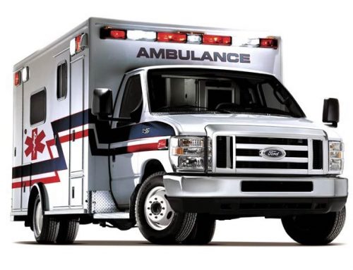 George’s Story – We’re More than Just a Dog Clinic